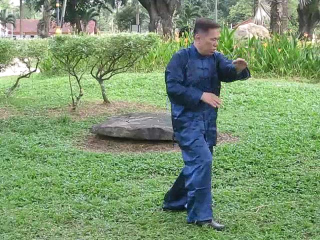 Wu Yu Xiang Style Taijiquan